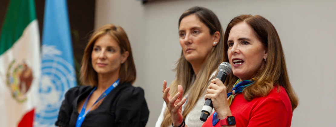 Seminario Internacional: Crecer, Aprender y Convivir en la Era Digital